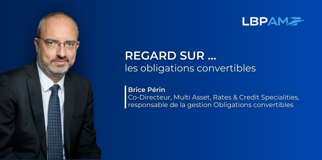 Regard sur les obligations convertibles