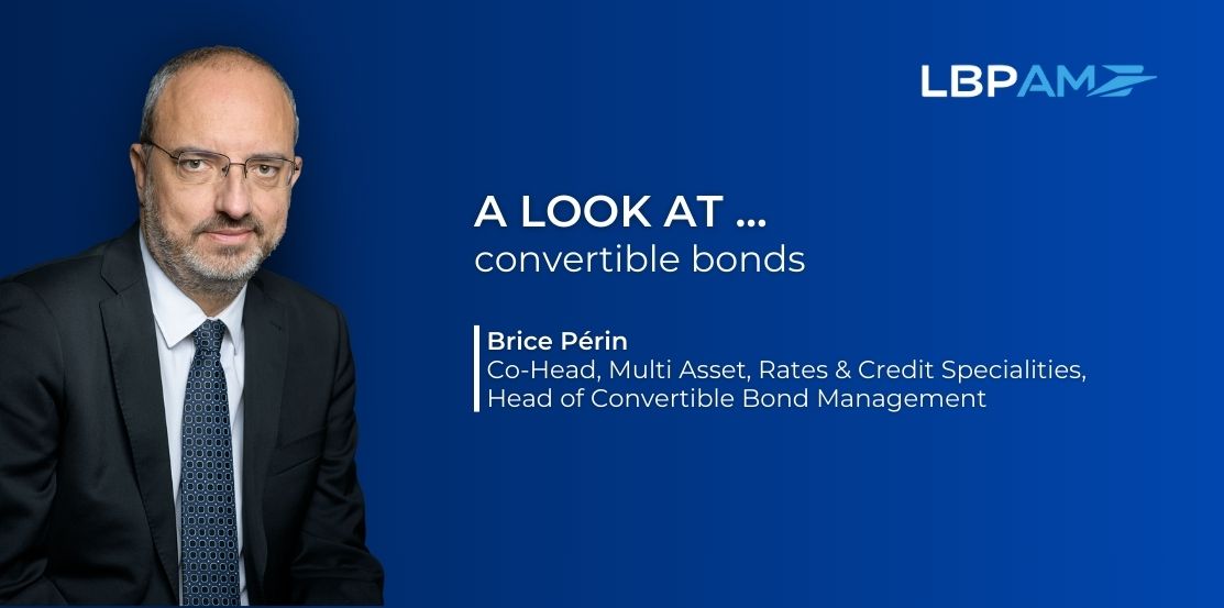 Regard sur les obligations convertibles