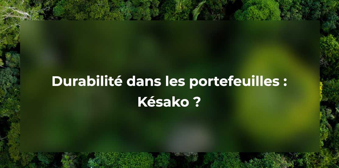 Durabilité dans les portefeuilles : Kezako ? 