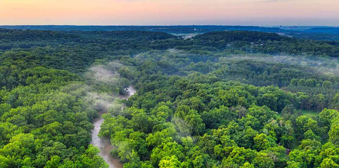 La Biodiversité : au cœur de nos problématiques d’investissement