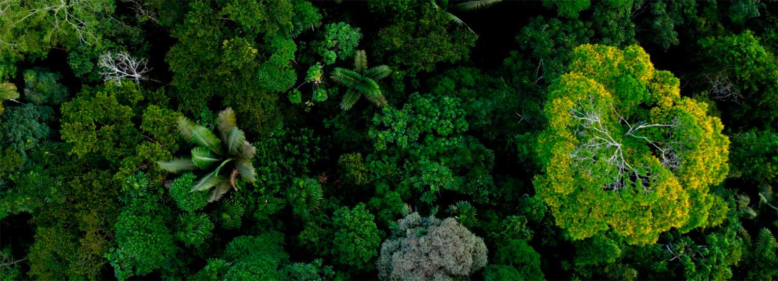 La Banque Postale Asset Management & Tocqueville Finance launch a biodiversity theme equity fund 