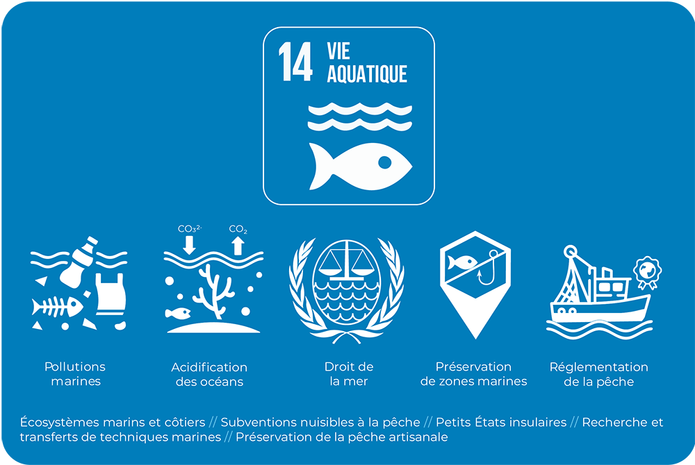 ODD14_vie aquatique