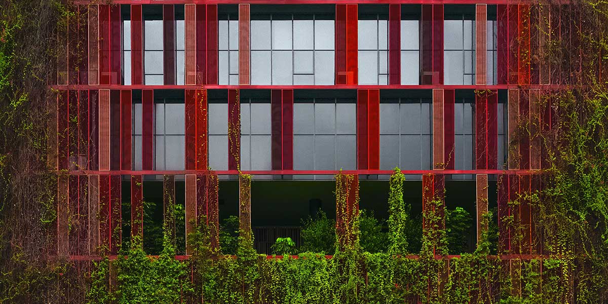 building with plant