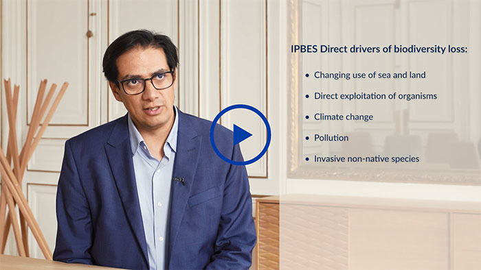Alvaro Ruiz Navajas, Portfolio Manager Thematic Equities, Tocqueville Finance,