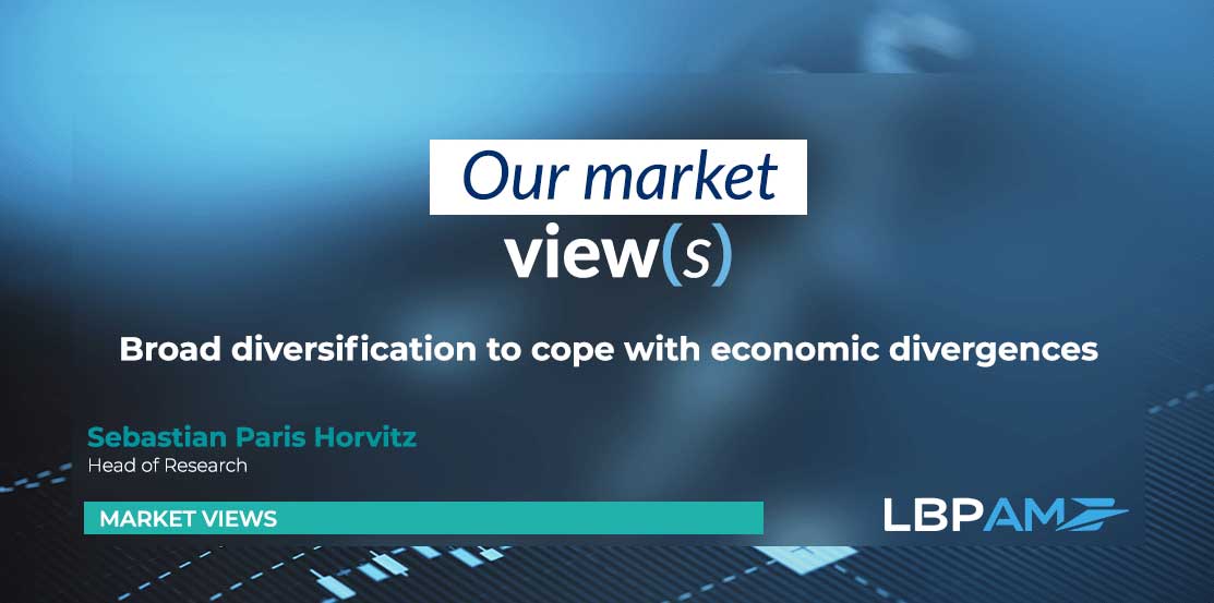 Broad diversification to cope with economic divergence
